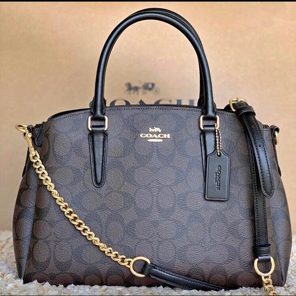 🌷Coach Signature Sage Carryall NWT. - Picture 7 of 8